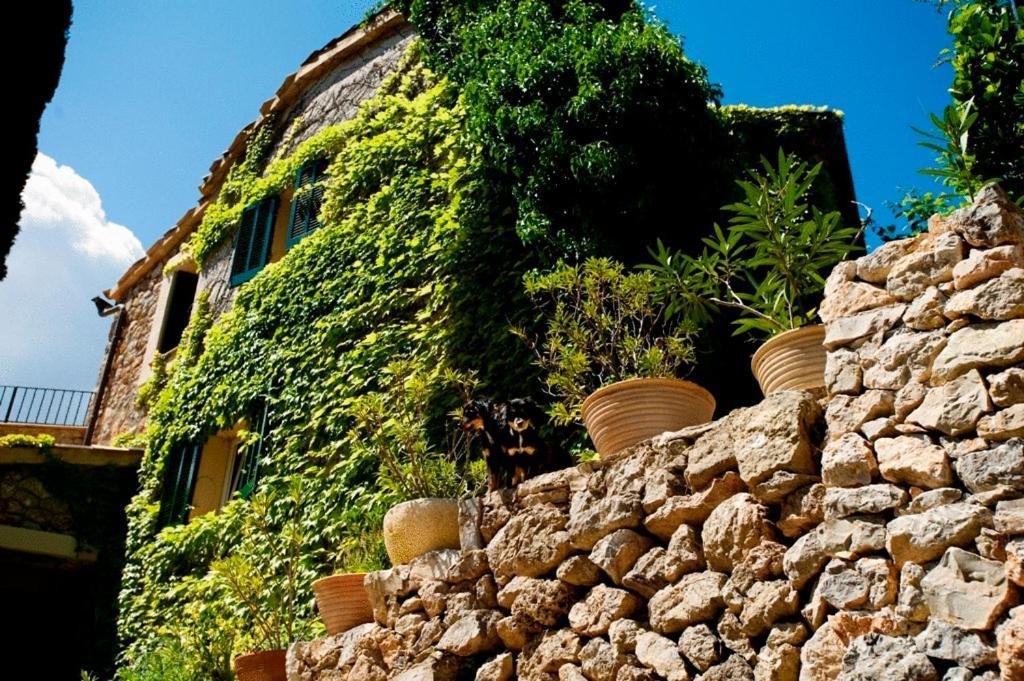 Sa Vall Valldemossa Екстериор снимка