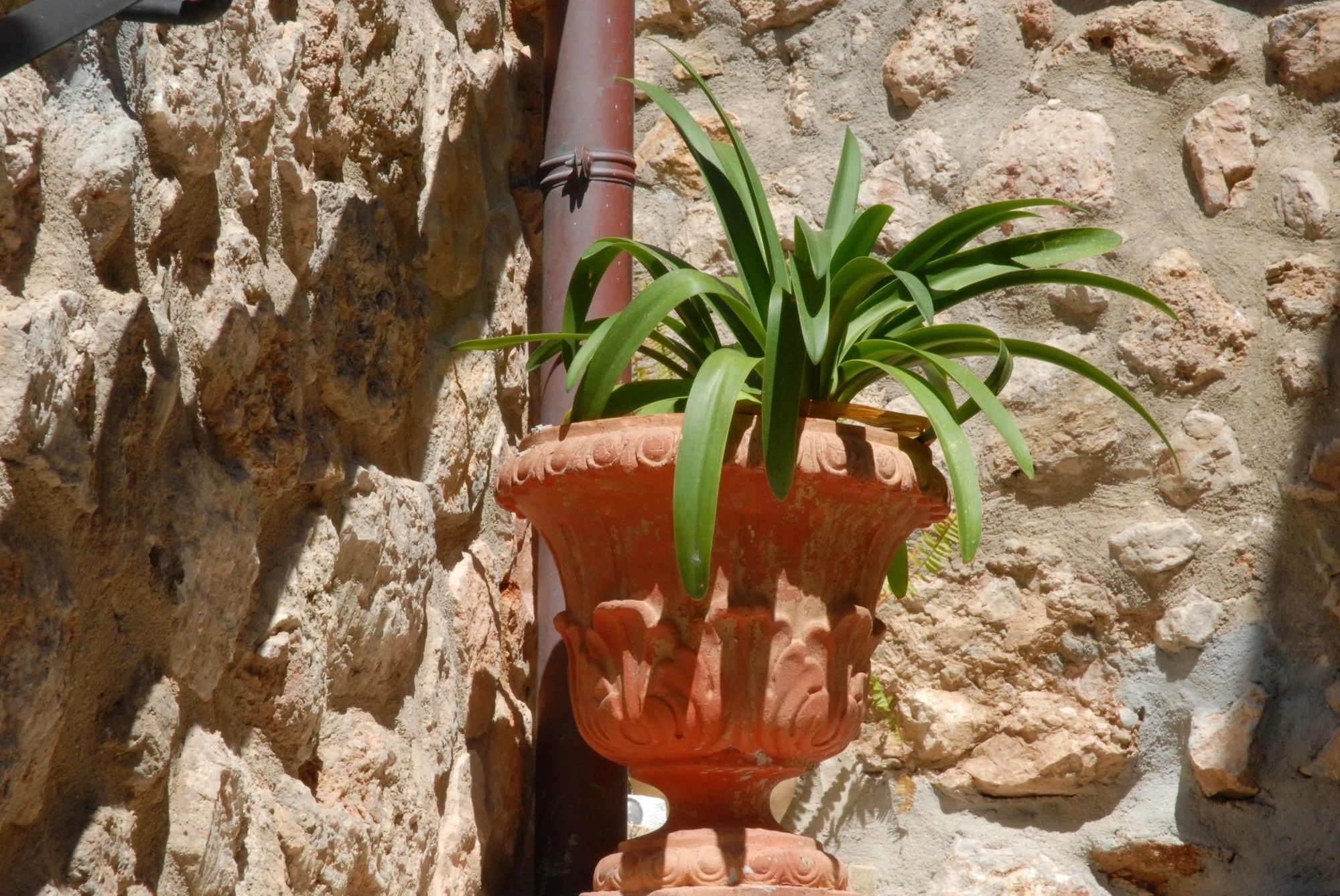 Sa Vall Valldemossa Екстериор снимка