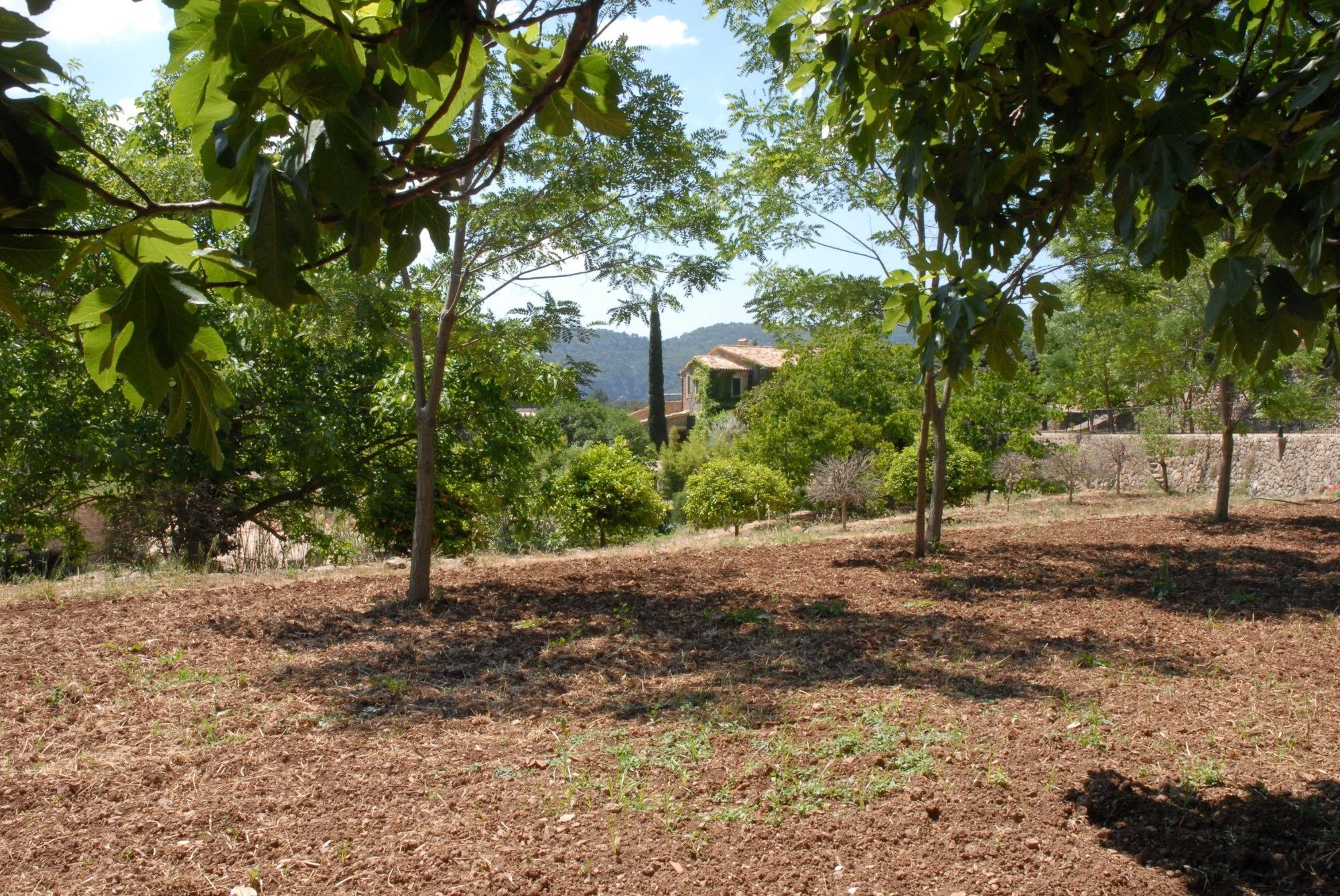 Sa Vall Valldemossa Екстериор снимка